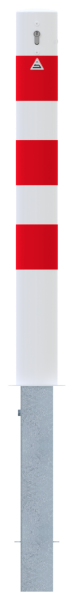 491ZB_3D2