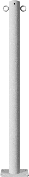460P-2_3D2