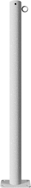 460P-1_3D2